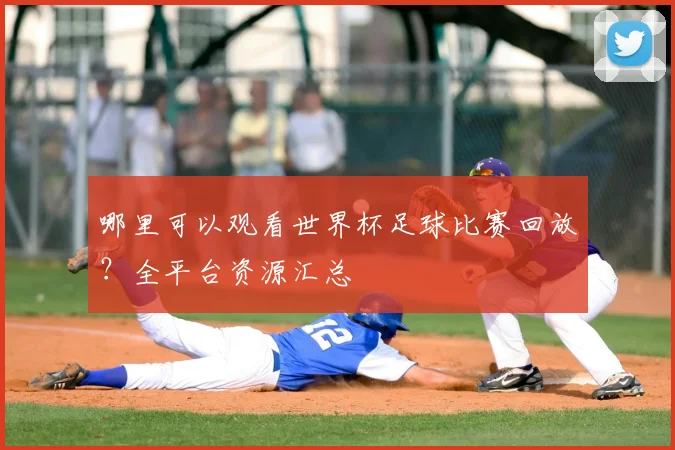 哪里可以观看世界杯足球比赛回放？全平台资源汇总